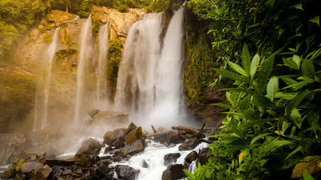 The Perfect 10-Day Costa Rica Itinerary for Nature Enthusiasts