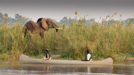 The Ultimate Guide to Safari in Zambia