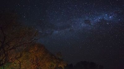 Belmond Eagle Island Camp - Okavango Delta, Botswana - Luxury Safari Lodge