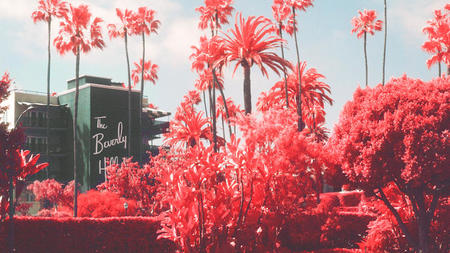 The Beverly Hills Hotel Unveils Marco Walker's 'Golden Hour' Photography Exhibition