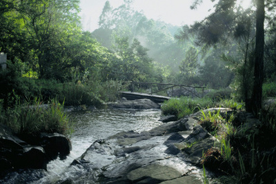 Cybele Forest Lodge and Health Spa - South Africa - 5 Star Luxury Resort