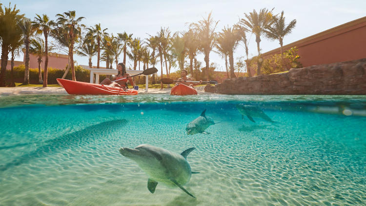 Atlantis The Palm - Dubai, UAE - 5 Star Luxury Resort-slide-7