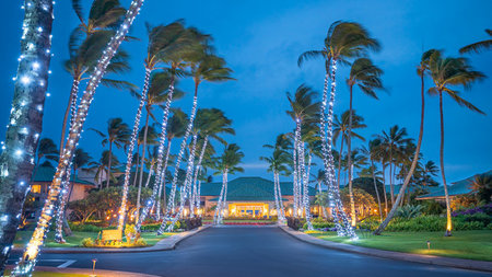 Grand Hyatt Kauai Resort & Spa Kicks Off Holidays with Celebratory Experiences for Guests