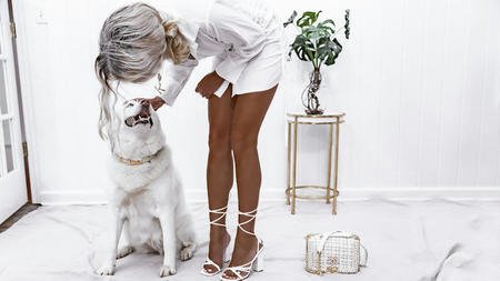 Are Luxury Trips Possible When Traveling With Dogs? Tips and Advice