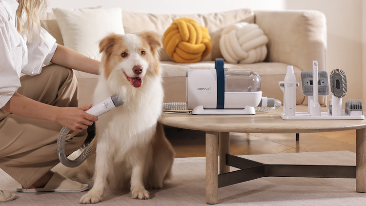How to Keep Your Pet Happy and Healthy Year-Round: Essential Tips for Pet Owners