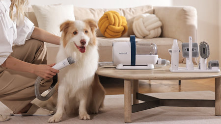 How to Keep Your Pet Happy and Healthy Year-Round: Essential Tips for Pet Owners