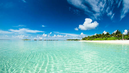 Beach Escapes Dominate 2024 Honeymoon Hotspots 