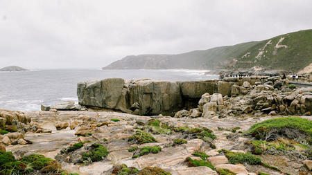 Discovering Albany: Top 10 Must-Visit Attractions in Western Australia's Historic Seaport