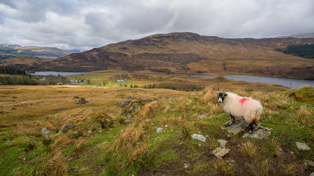 7 Luxury Walking Holiday Trails in the UK to Indulge in Nature