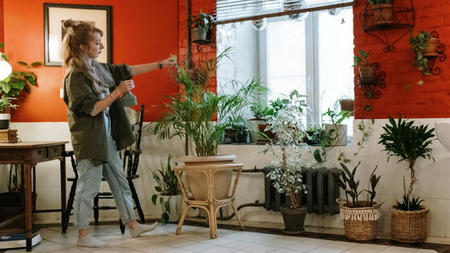 Increase Humidity: 11 Tips to Improve Your Indoor Climate