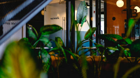 How to Pick the Right Plants for Your Office Space