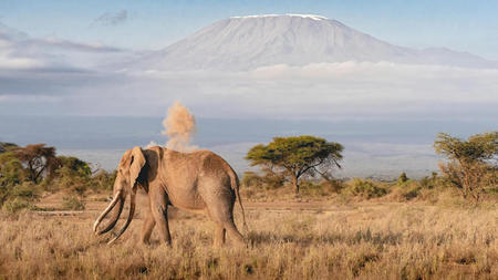 Top 5 Luxury Destinations In Africa