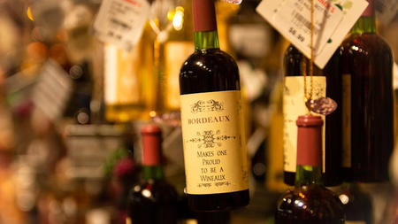 A Guide to Wine Tours in Bordeaux