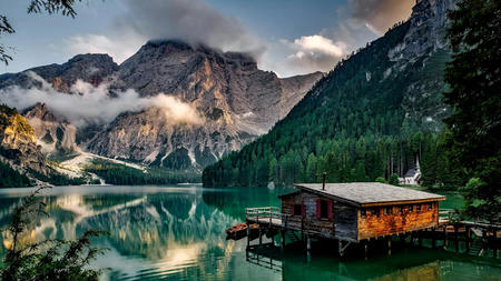 Sustainable Wildlife Travel: Vikki Nicolai Discusses How to Connect with Nature Responsibly