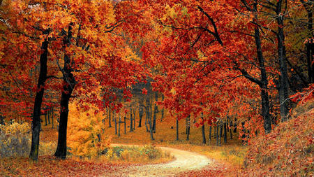 Fall into Bliss – Autumn Spa Therapies to Savor