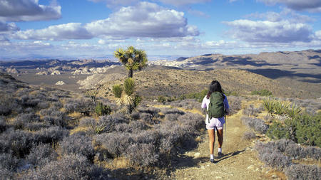 Sensei Porcupine Creek to Host First-Ever Hiking Retreat in January