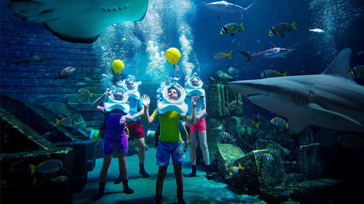 Atlantis The Palm - Dubai, UAE - 5 Star Luxury Resort-slide-19