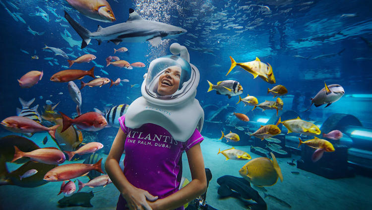 Atlantis The Palm - Dubai, UAE - 5 Star Luxury Resort-slide-21
