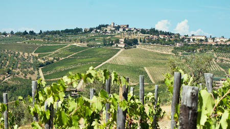 Explore Luxury Chianti Wine Tours in Italy