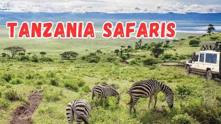 What Makes Tanzania Safaris the Most Excellent in the World?