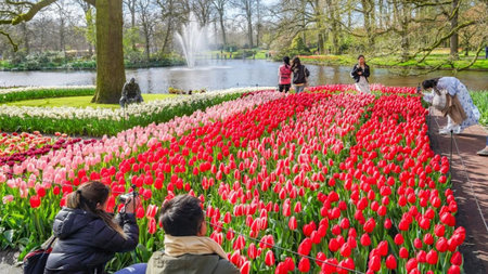 AmaWaterways 'Tulip Time' Cruises Offer Far More Than Tulips