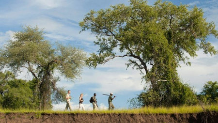 Exploring Zambia in its Lush Green Season